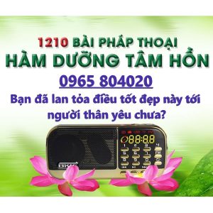 Loa pháp thoại Trần Việt Quân, 1210 bài pháp thoại